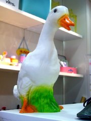 canard1 canard1